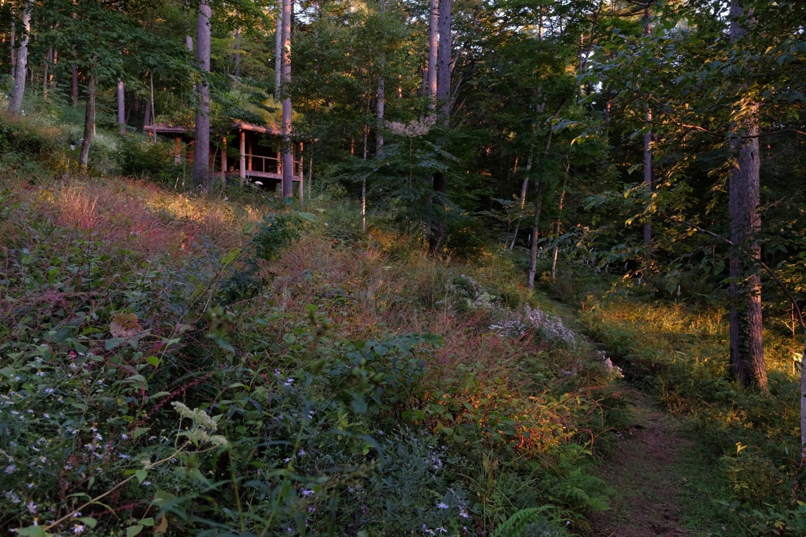 RETREAT IN HANAREYAMA