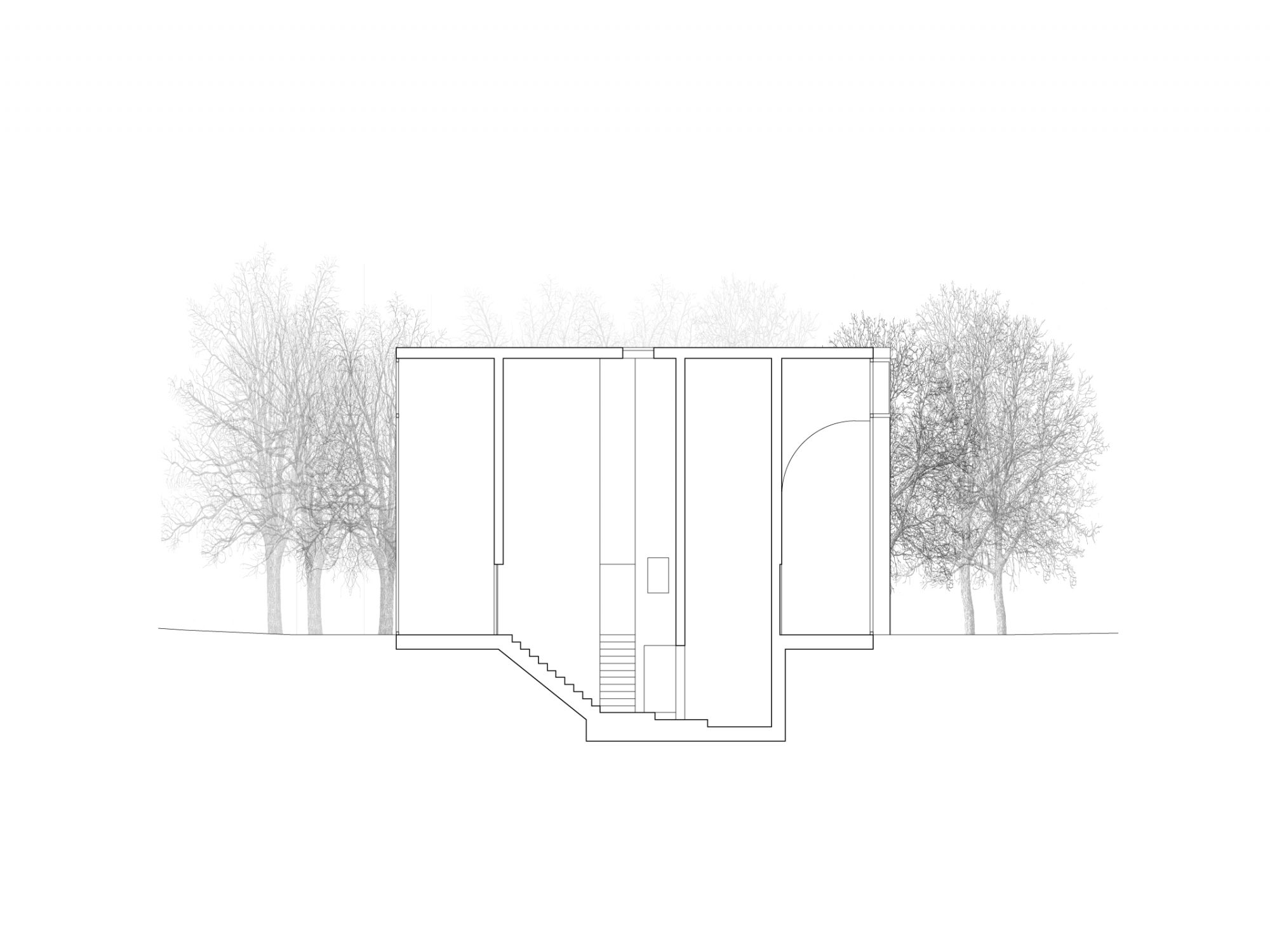 forest_house_section2